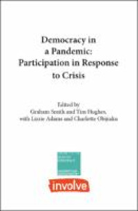 Democracy in a pandemic:participation in response to crisis