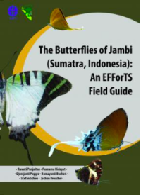 The butterflies of Jambi (Sumatera, Indonesia):an efforts field guide